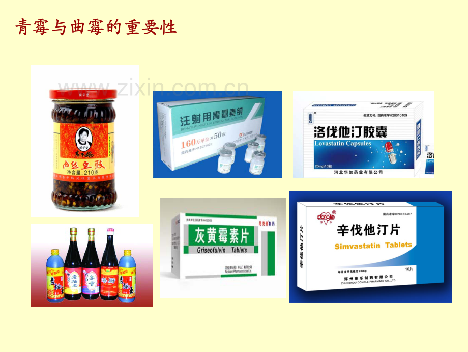 青霉与曲霉分类2009.pdf_第2页