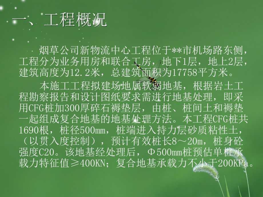 CFG振动沉管灌注桩施工质量控制.ppt_第2页