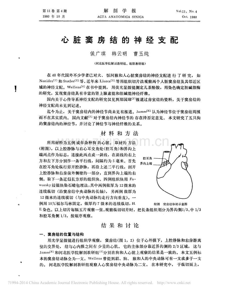 心脏窦房结的神经支配.pdf_第1页