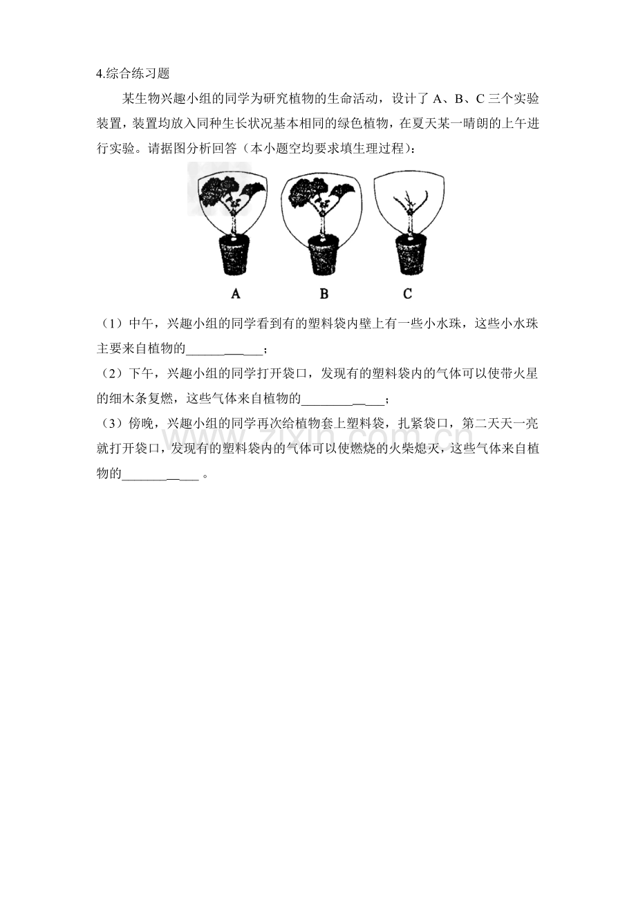 第二节绿色植物的呼吸.docx_第2页