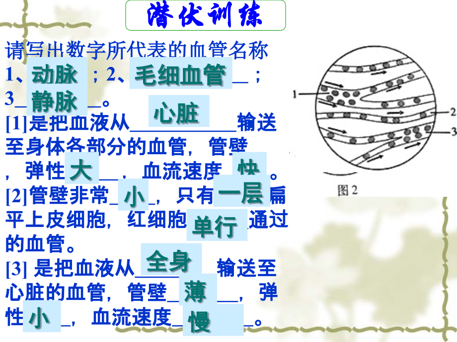 第四章-第三节-输送血液的泵-心脏.ppt_第1页