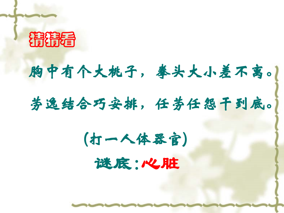 第四章-第三节-输送血液的泵-心脏.ppt_第2页