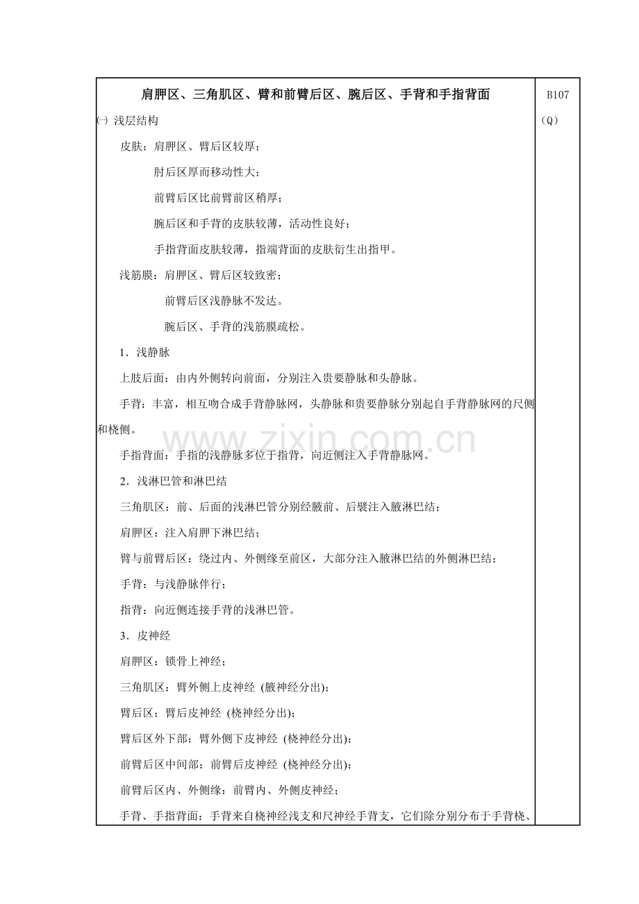 肩胛区、三角肌区、臂和前臂后区、腕后区、手背和手指背面、臀部、股后区、小腿后面、颅面部.doc_第2页