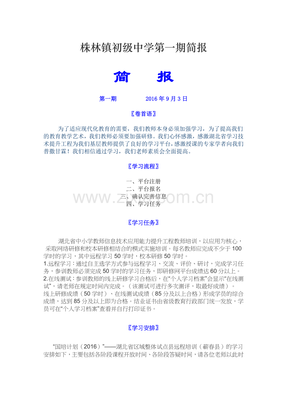 株林镇初级中学第一期简报.docx_第1页