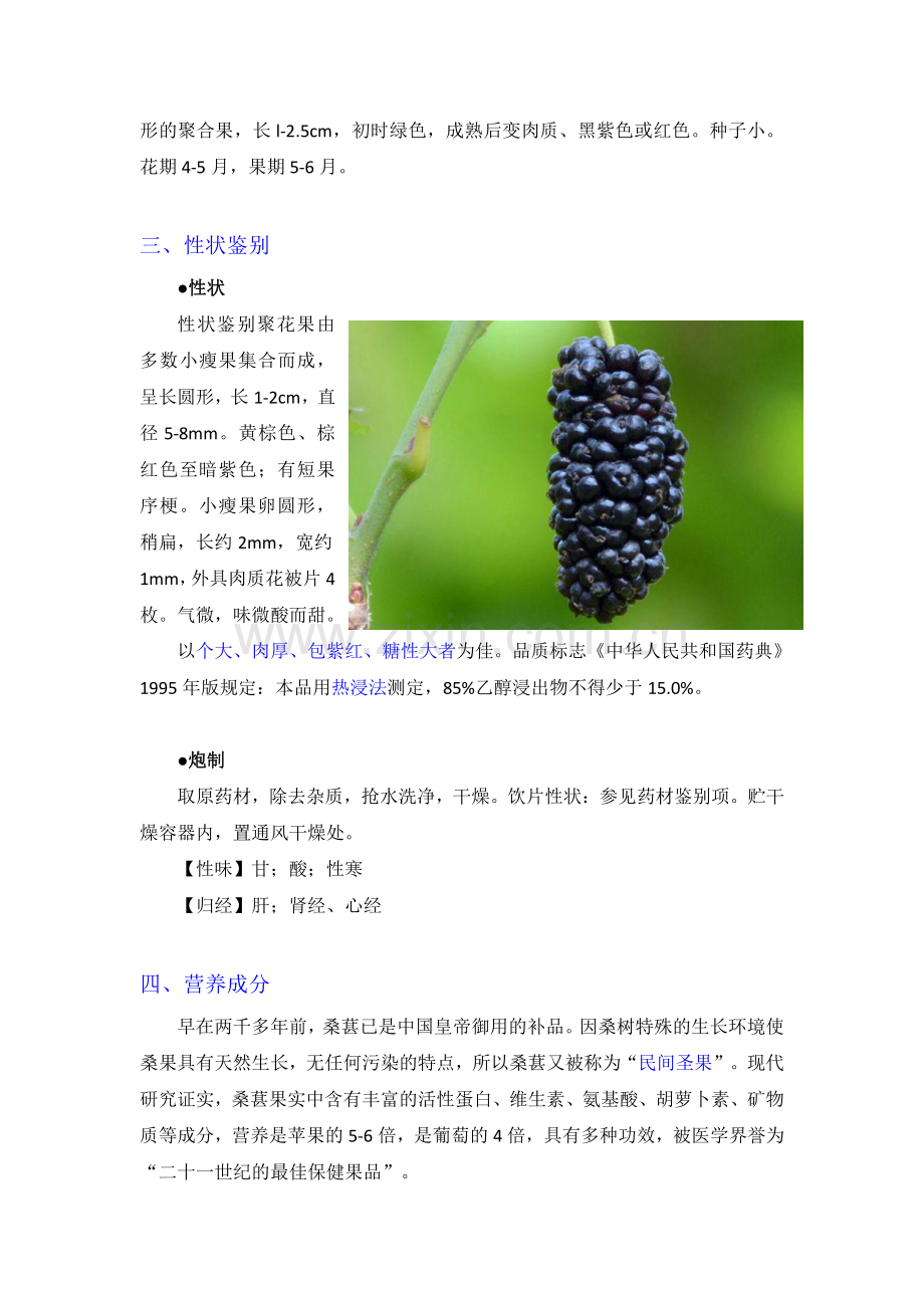 桑椹子的功效及食用方法.pdf_第2页