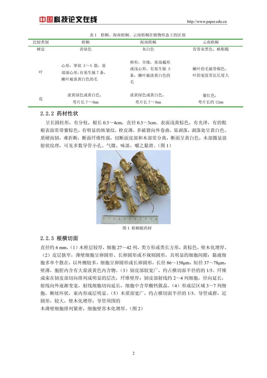 梧桐根形态.pdf_第2页