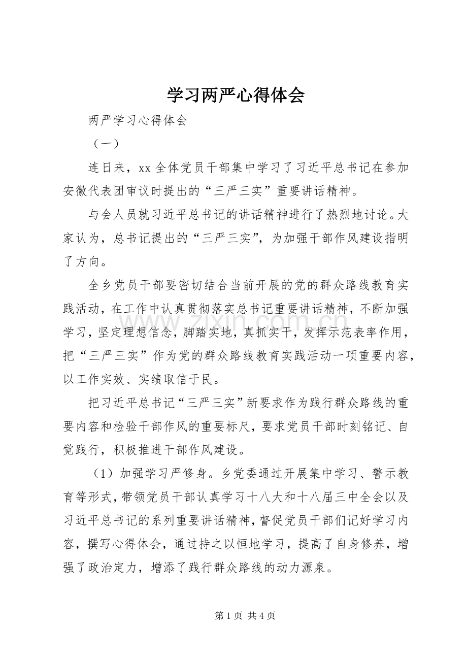 学习两严体会心得.docx_第1页