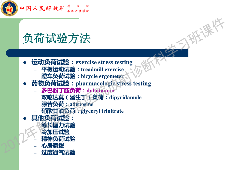 智光-Rapid Stress Echo 的临床应用.pdf_第2页