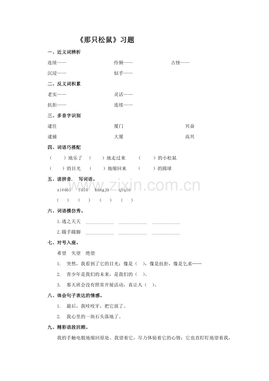 《那只松鼠》习题.docx_第1页