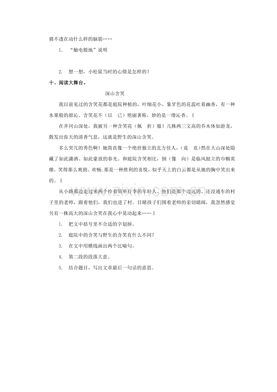 《那只松鼠》习题.docx_第2页