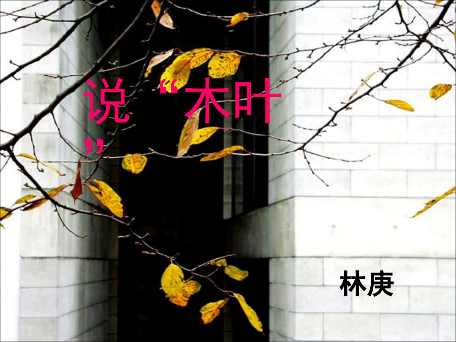 《说木叶》课件.ppt_第1页