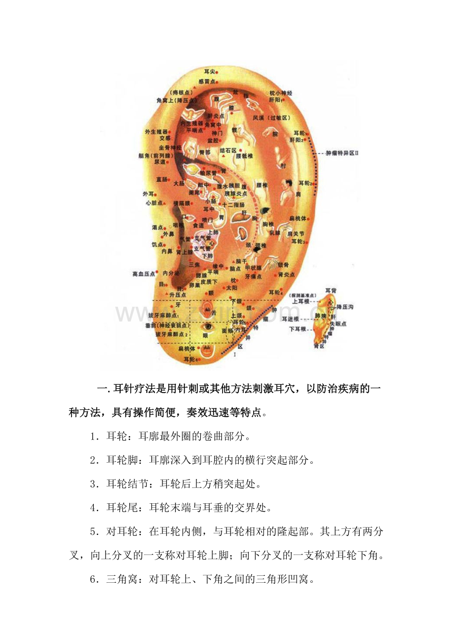 耳朵穴位针灸.doc_第2页
