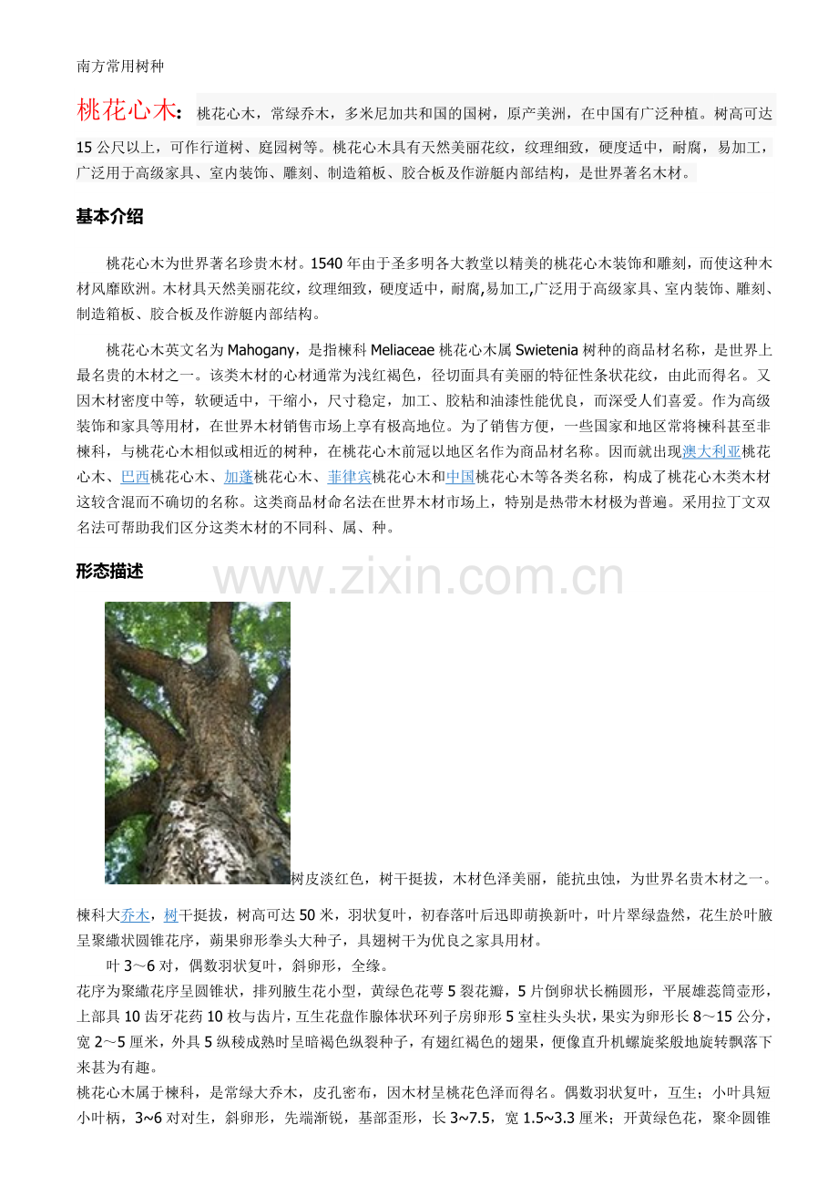 南方常用树种.doc_第1页