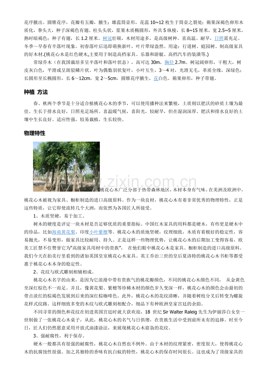 南方常用树种.doc_第2页