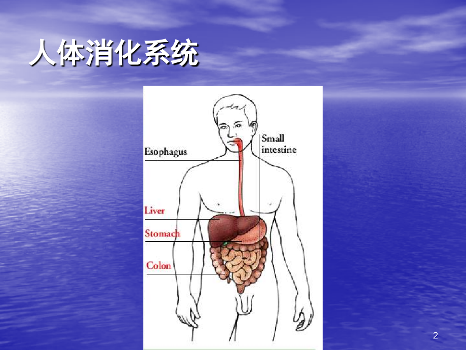 抗溃疡药.pps_第2页