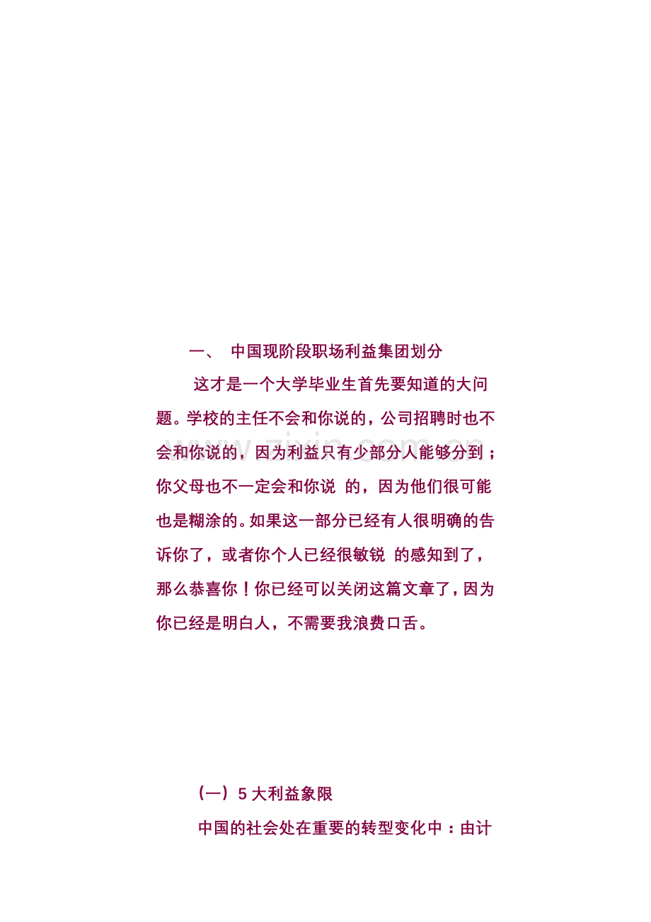 中国现阶段职场利益集团划分.doc_第2页