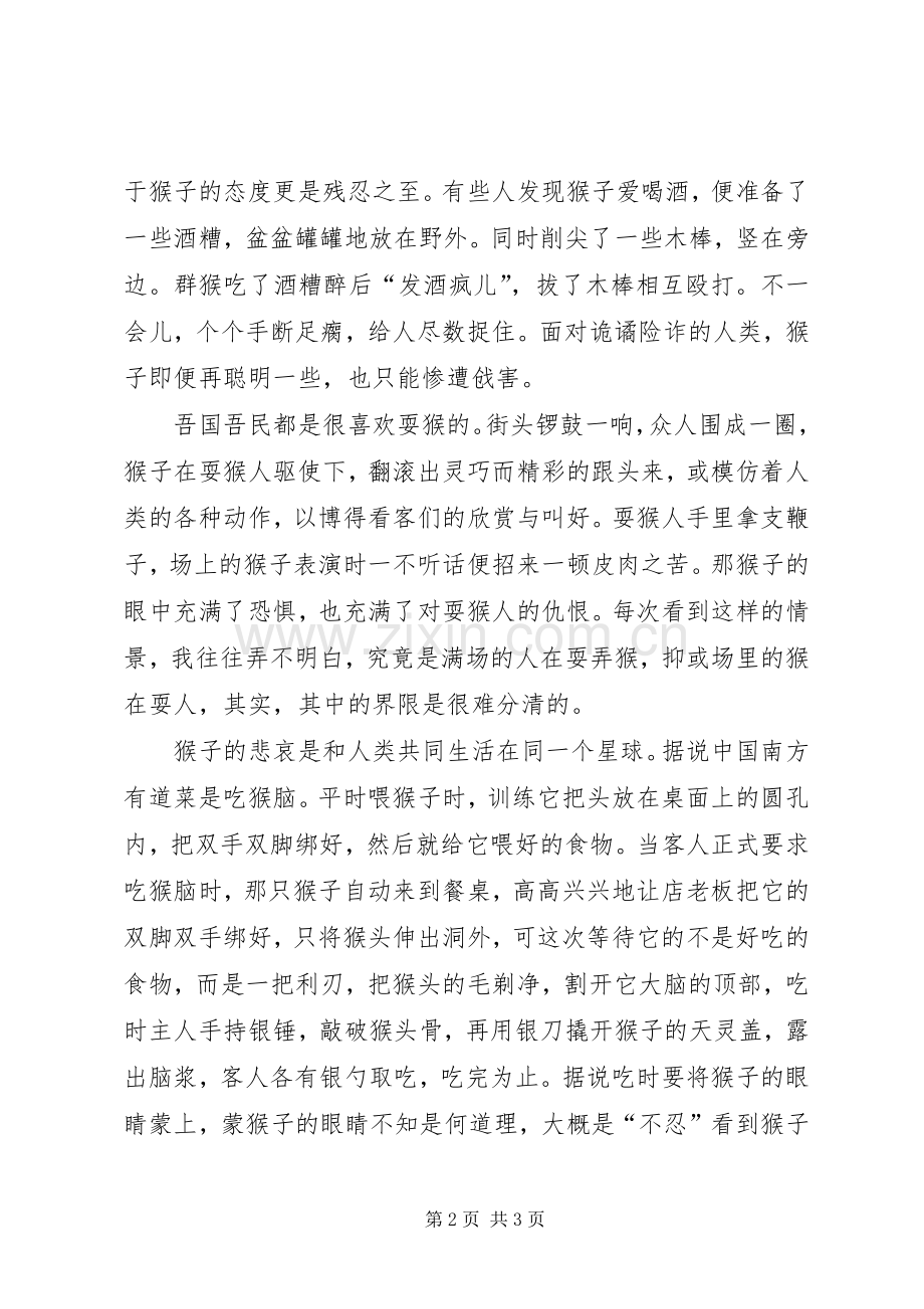 《万物理论》观后心得.docx_第2页