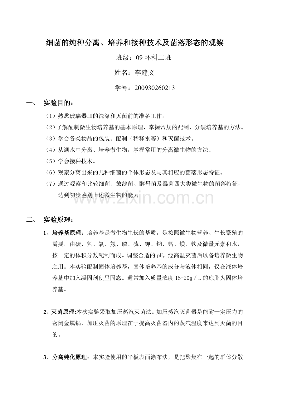 细菌的纯种分离.doc_第1页