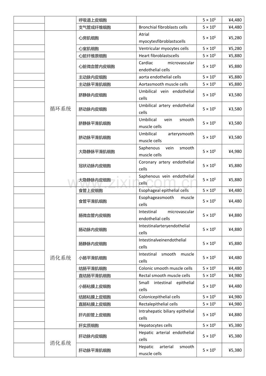 人 原代细胞.docx_第2页