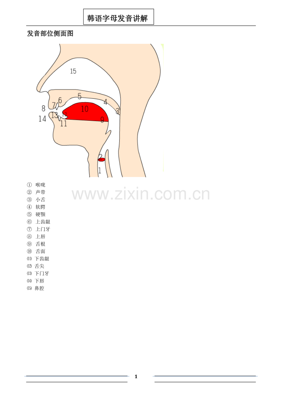 韩国语字母发音详解.doc_第1页