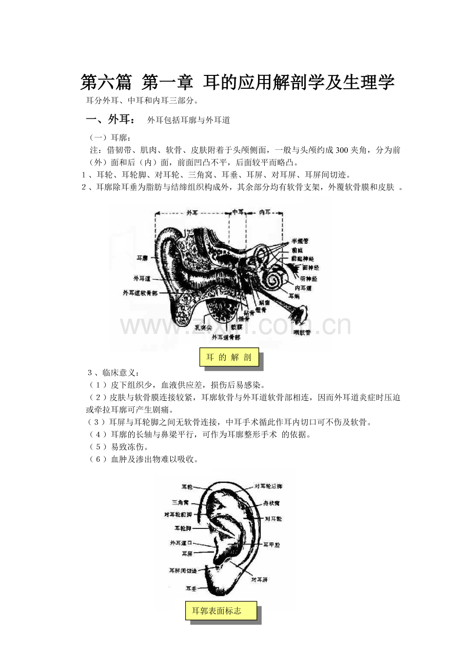 第六篇 第一章 耳的应用解剖学及生理学.doc_第2页