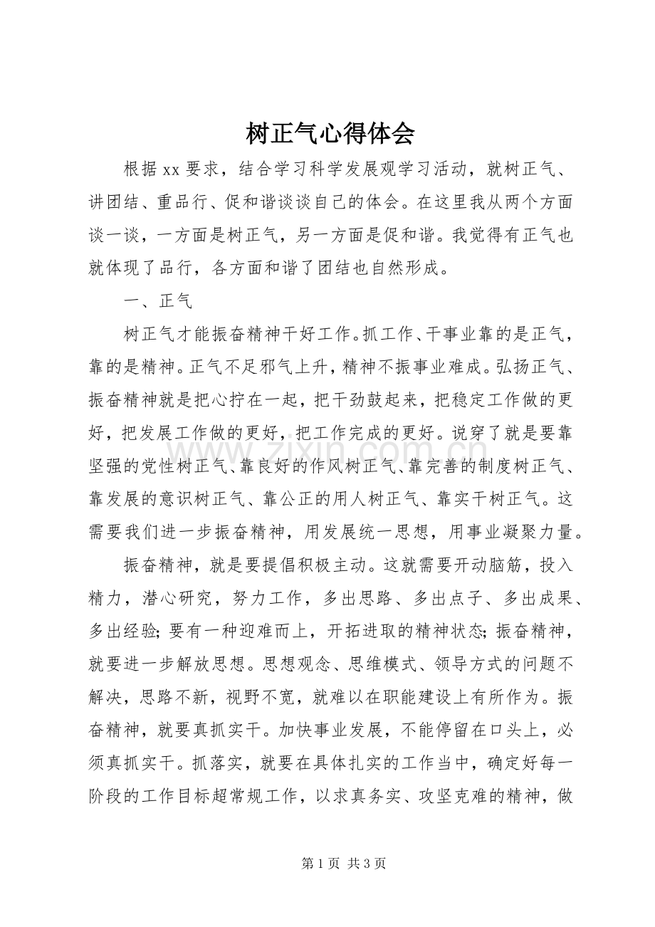 树正气体会心得.docx_第1页