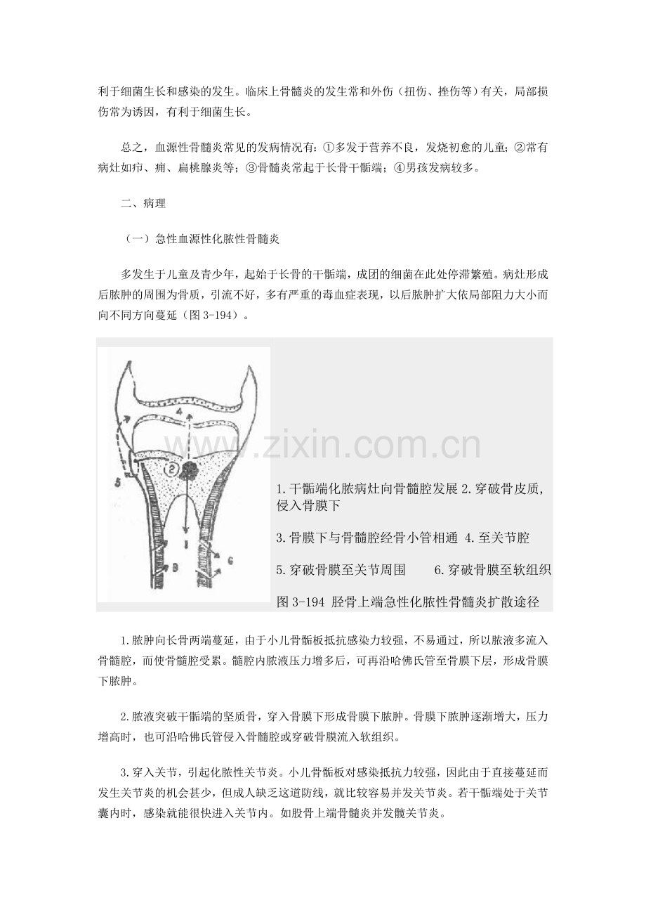第十一章 化脓性骨髓炎及化脓性关节炎.doc_第2页