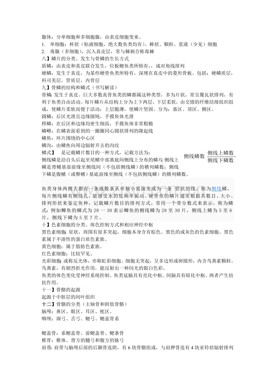 鱼类学形态学.doc_第2页