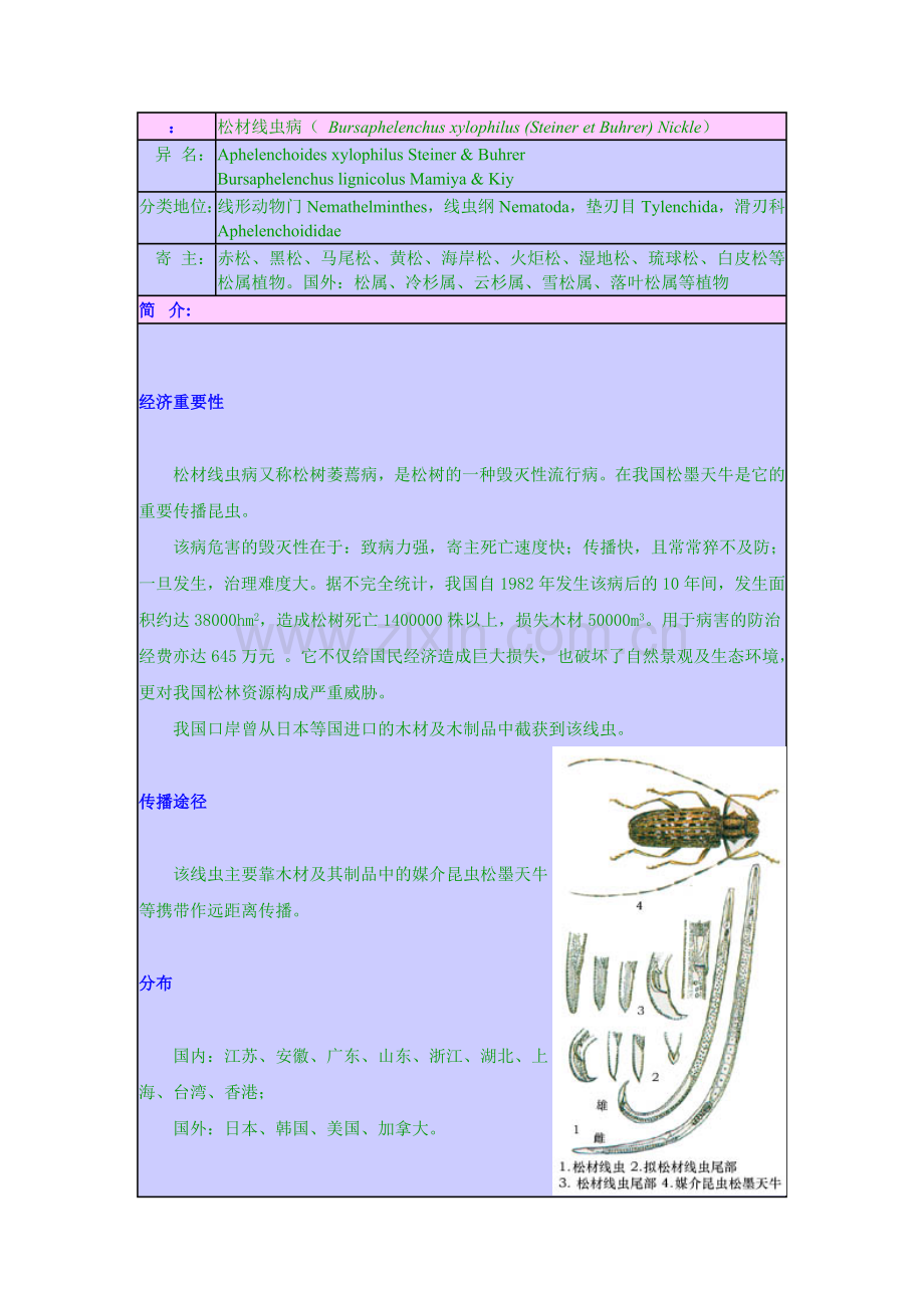 线虫培养.doc_第1页