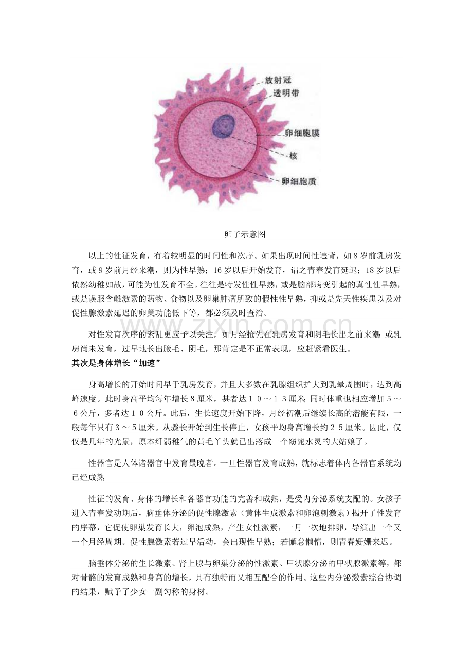 青春期女孩生理发育(图).doc_第2页