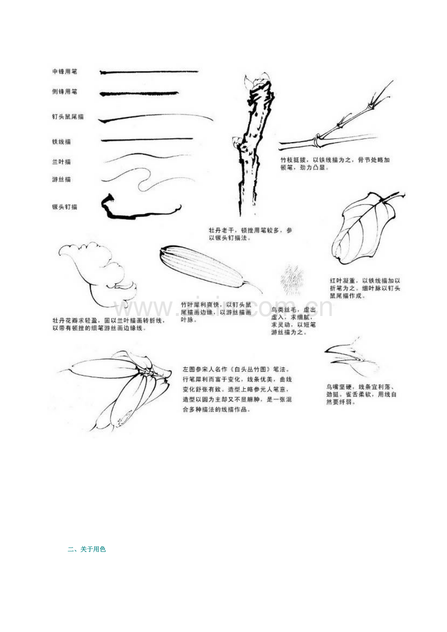 工笔牡丹设色技法及高清白描集.doc_第2页