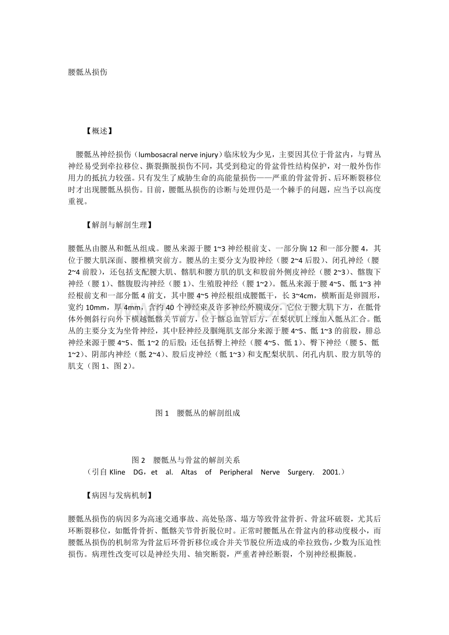 腰骶丛损伤.doc_第1页
