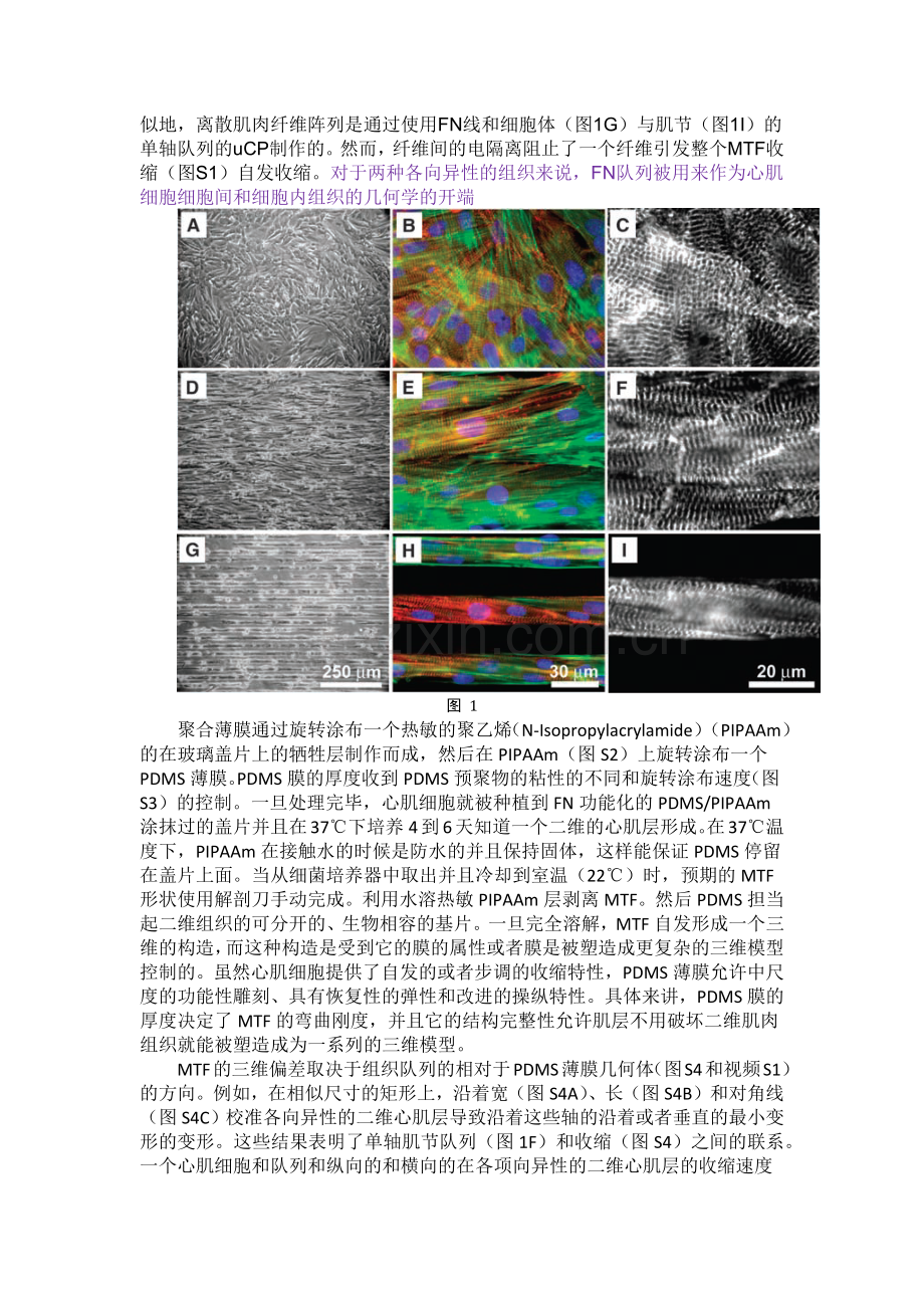 Muscular thin films for building actuators and powering devices -Science hu_2007_317feinberg.docx_第2页