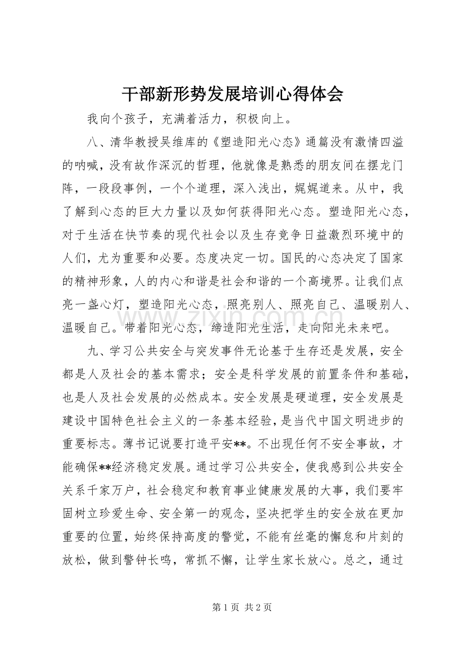 干部新形势发展培训体会心得.docx_第1页