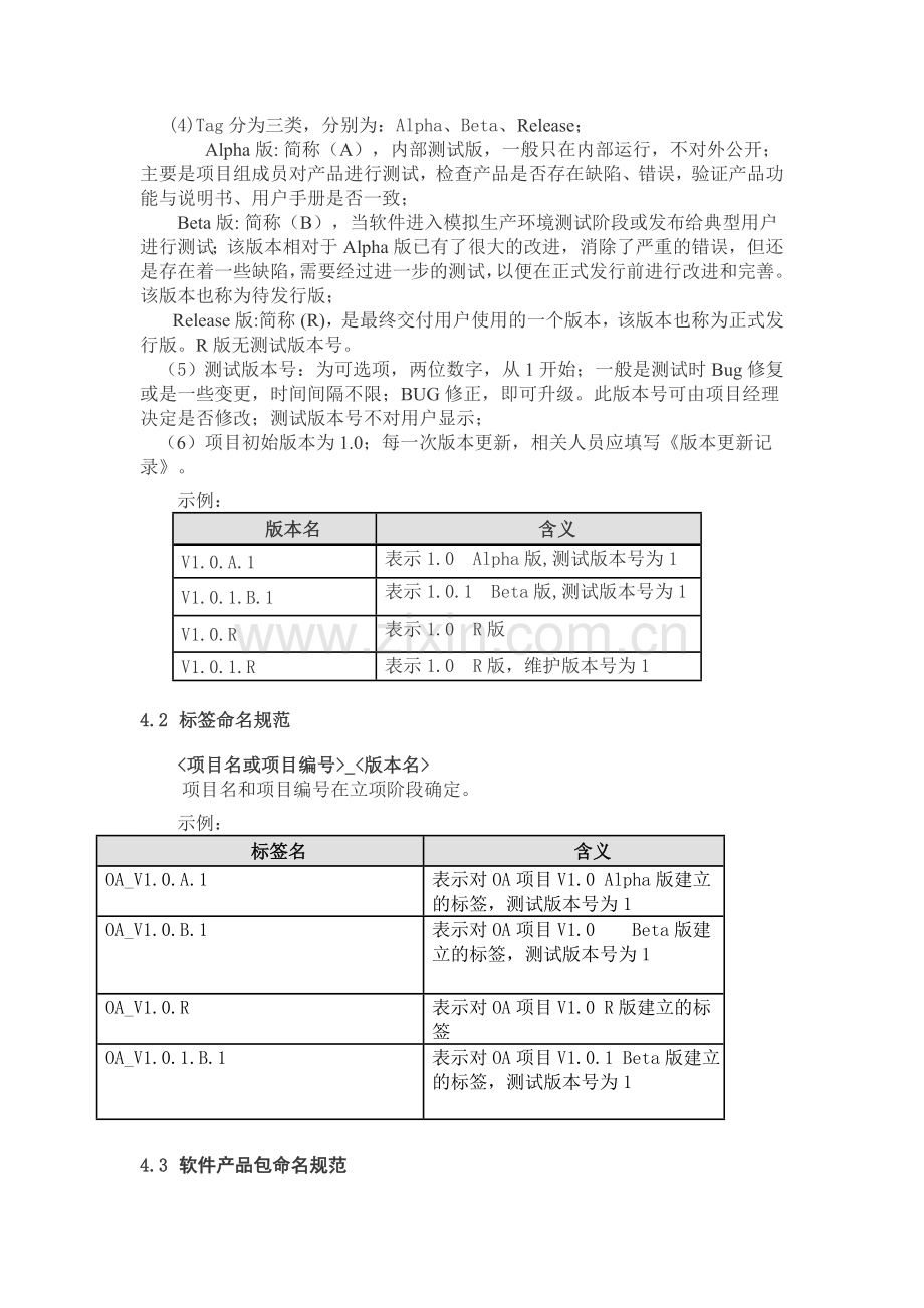 软件产品版本管理规范.docx_第2页
