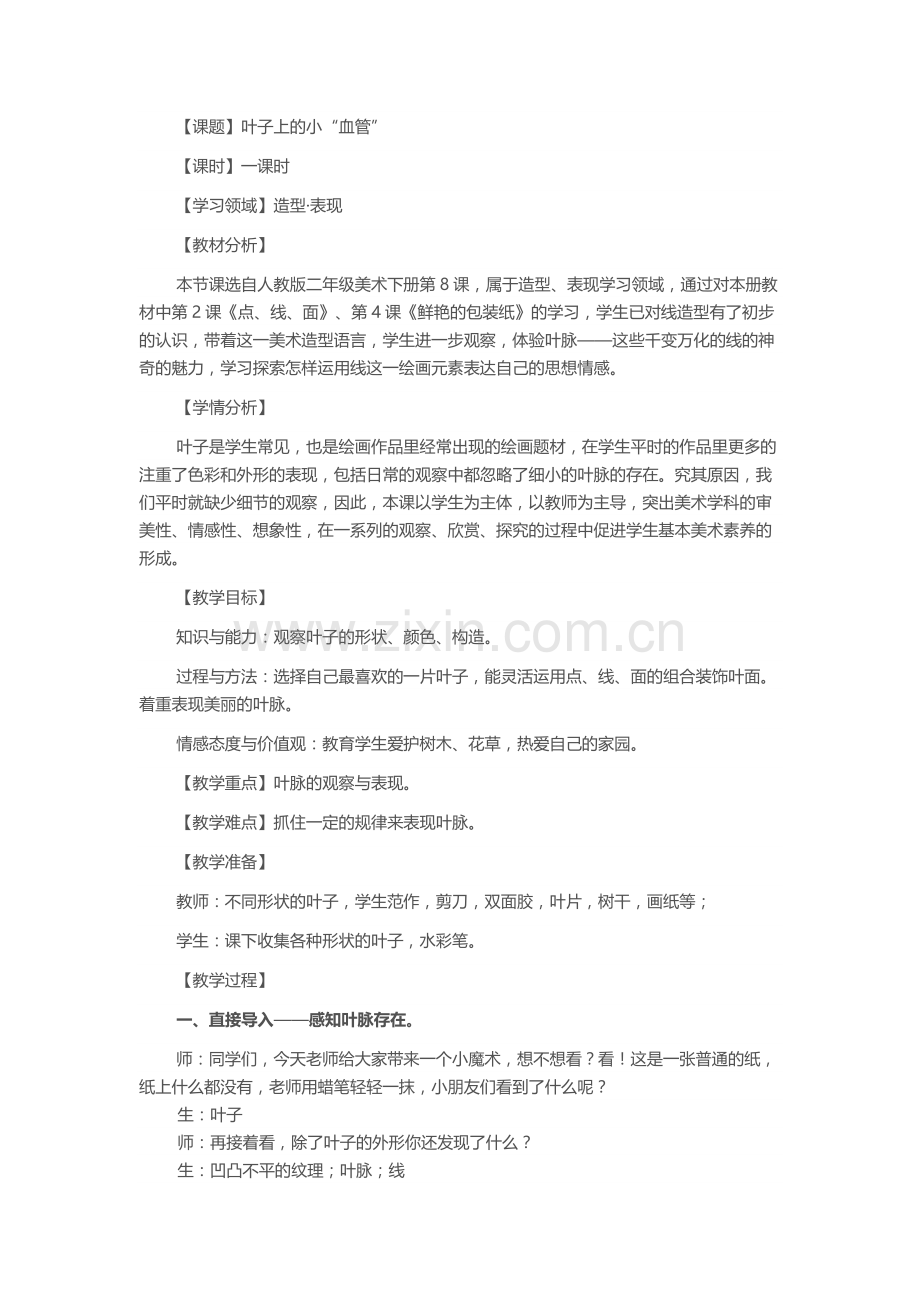 叶子上的小血管.docx_第1页