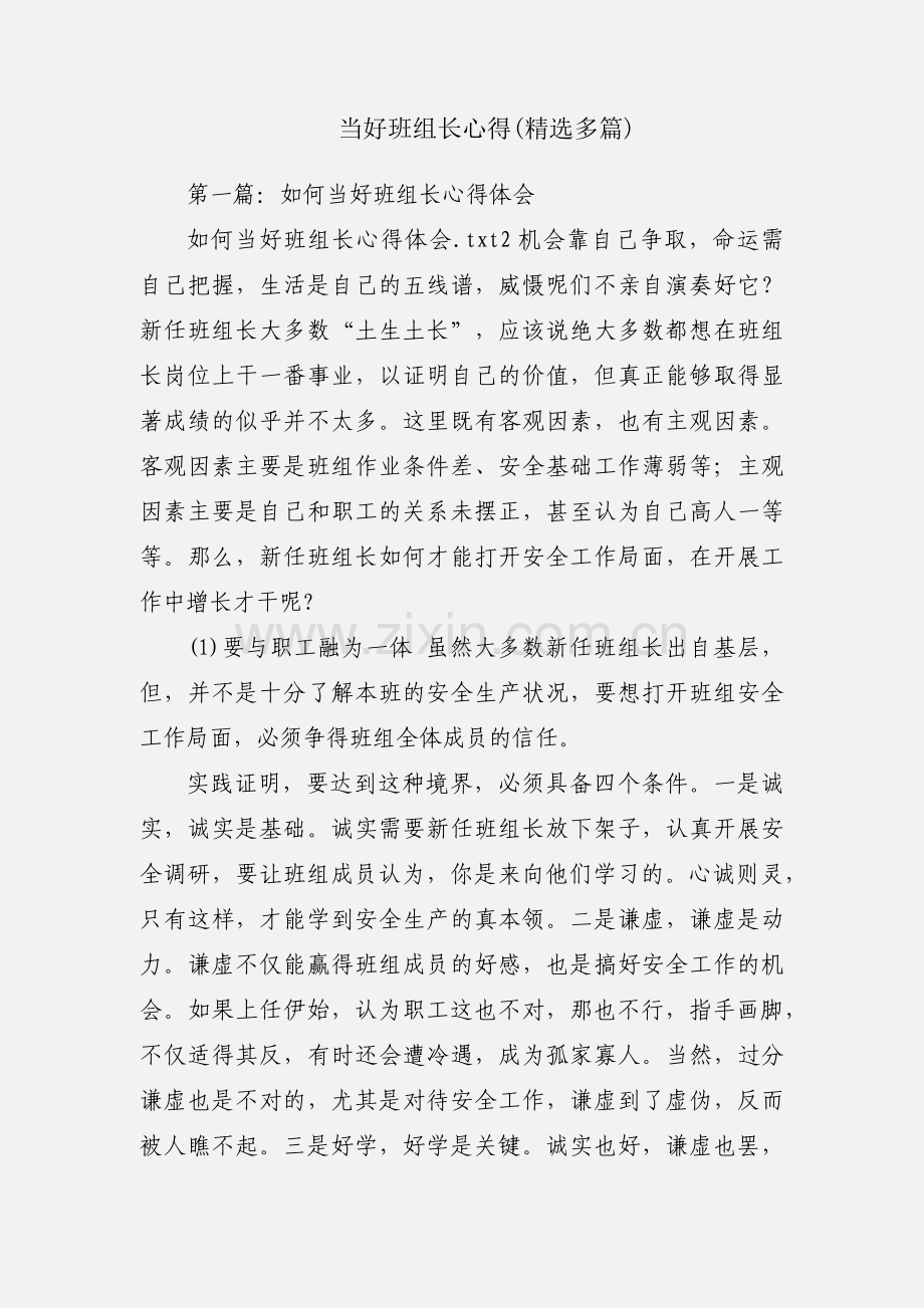 当好班组长心得(多篇).docx_第1页
