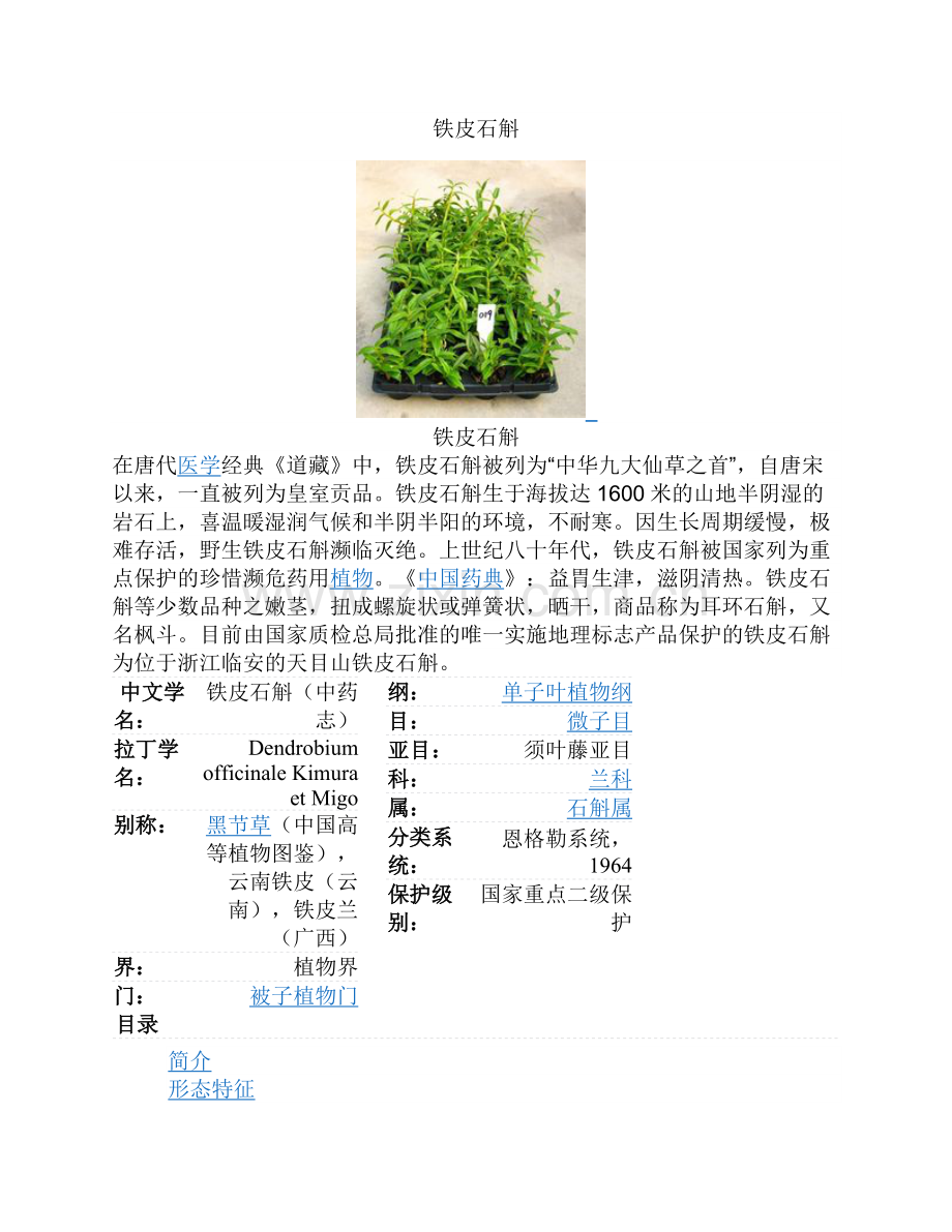 铁皮石斛.docx_第1页