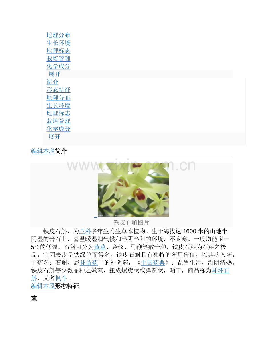 铁皮石斛.docx_第2页