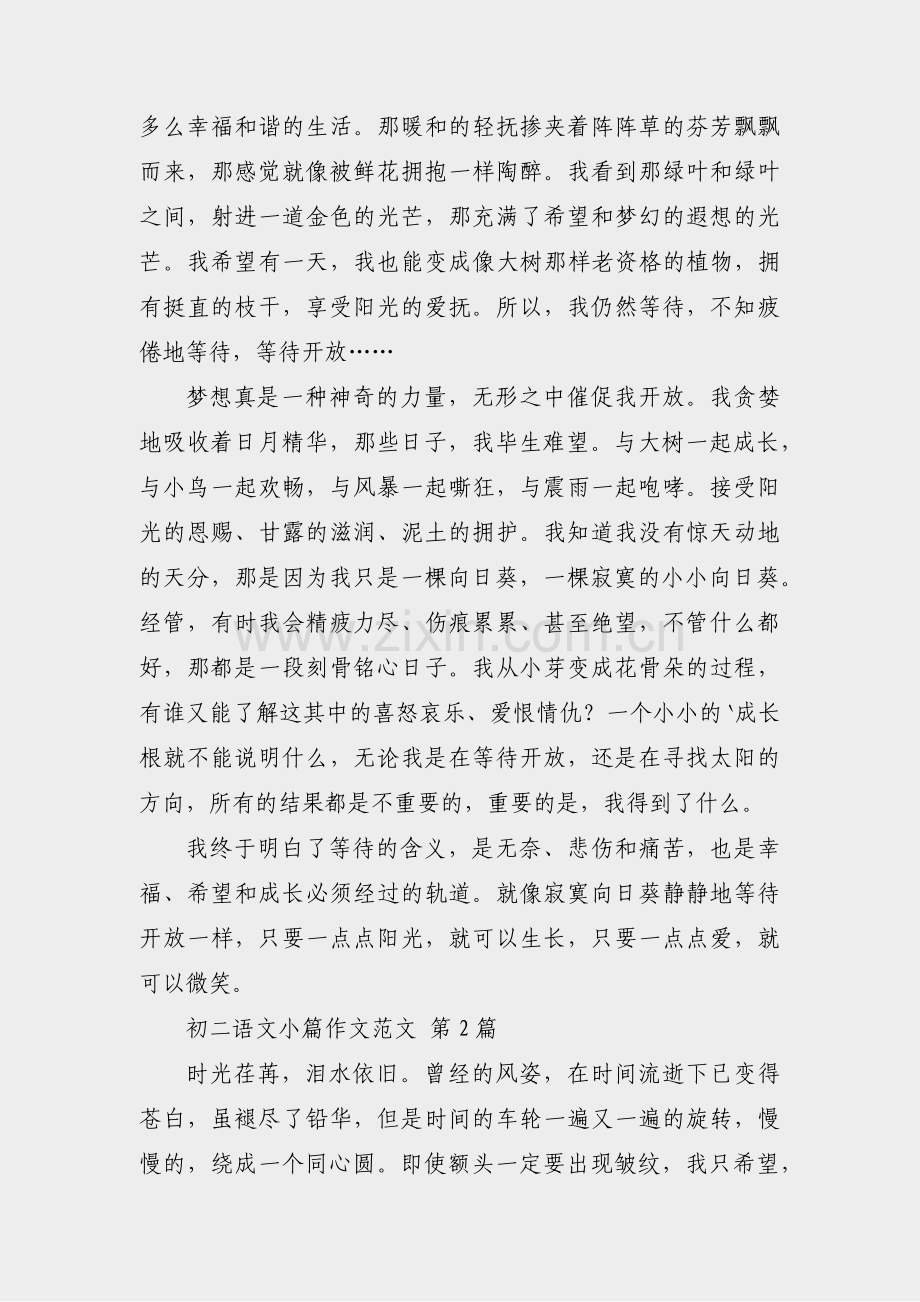 初二语文小篇作文范文(22篇).pdf_第2页
