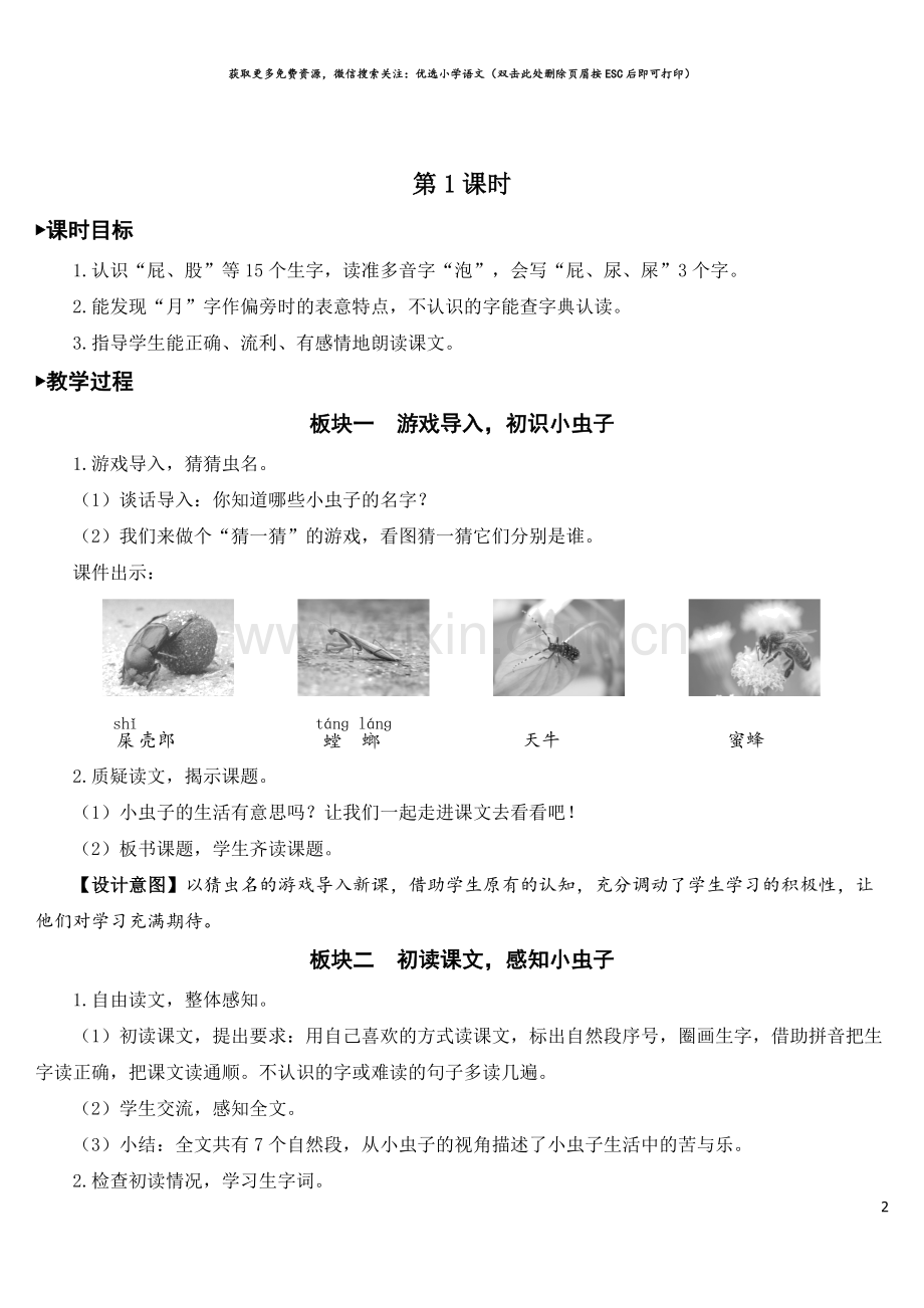 11-我是一只小虫子【教案】.doc_第2页