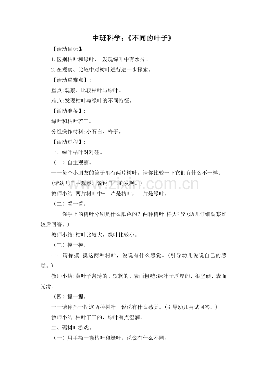 学前幼教科学学前通用版中班中班下-中班科学《不同的叶子》(-一).docx_第1页