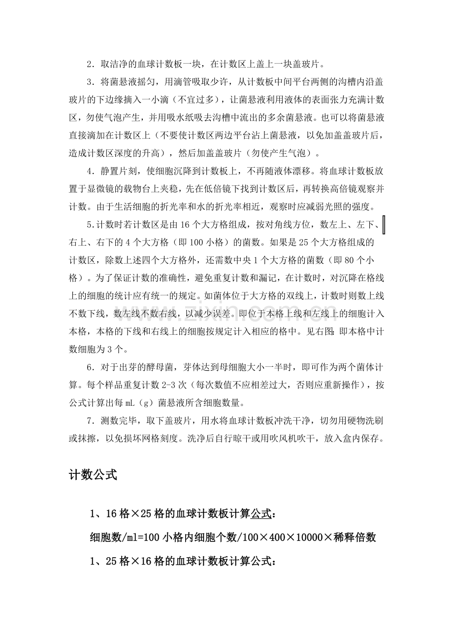 血球计数板使用方法(常见用法).doc_第2页