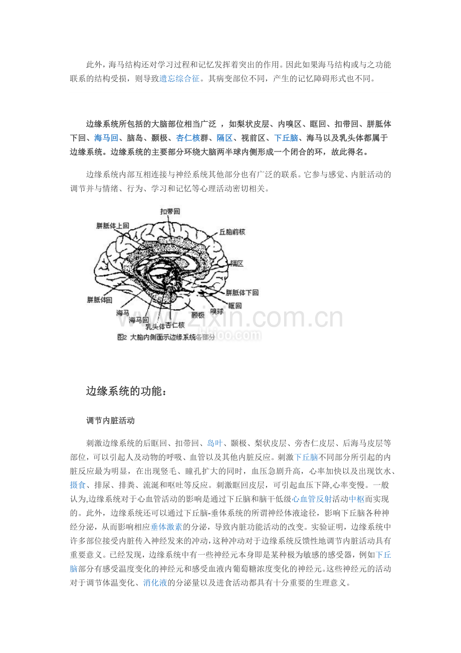 大脑边缘系统.docx_第2页