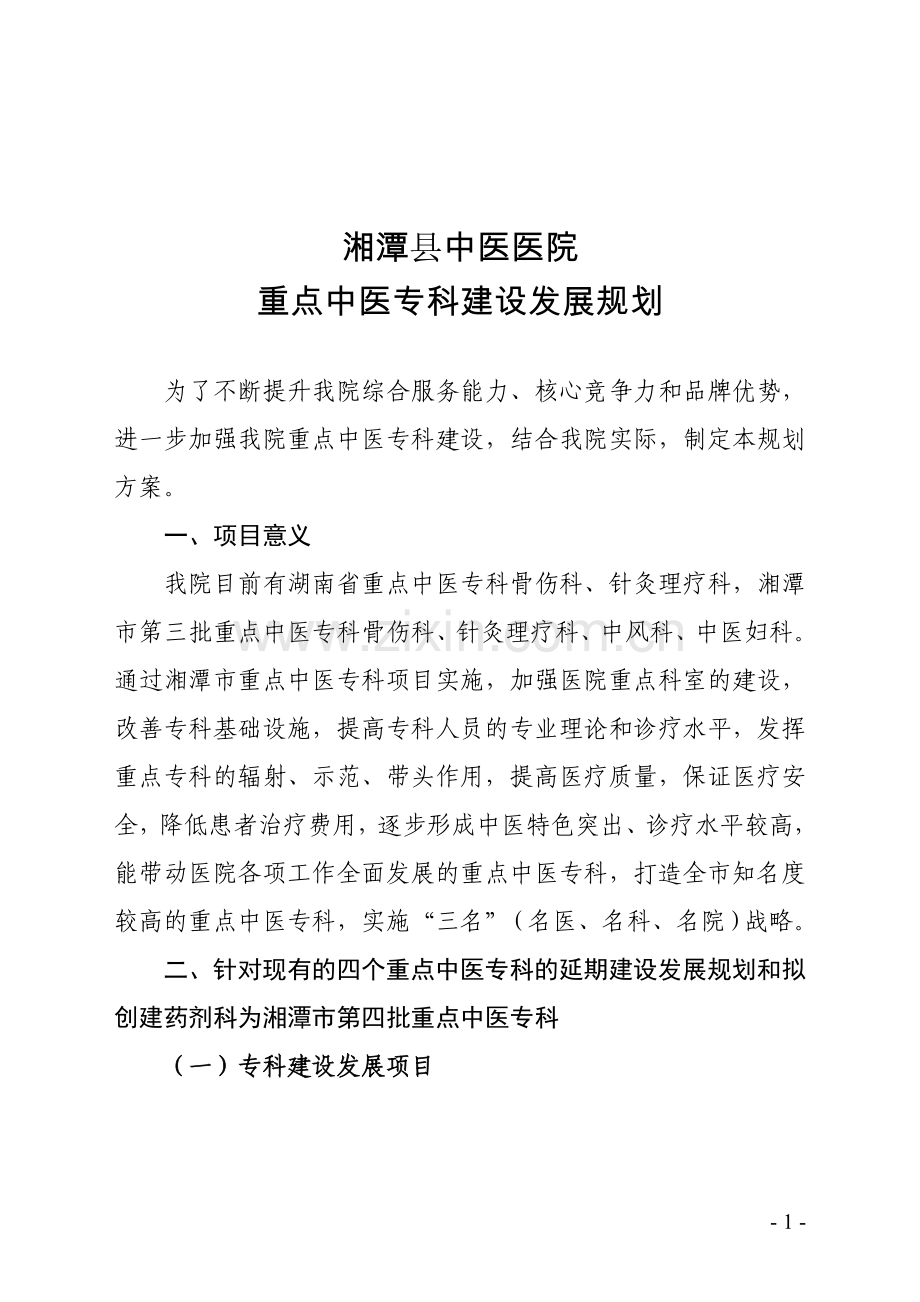 重点中医专科建设发展规划.doc_第1页