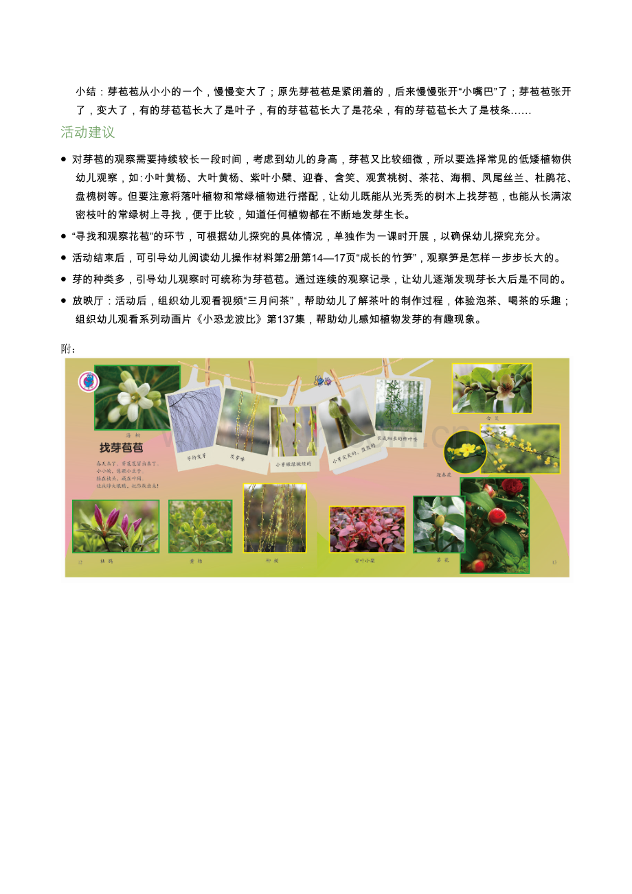 学前幼教科学学前通用版中班中班下-找芽苞苞.docx_第2页