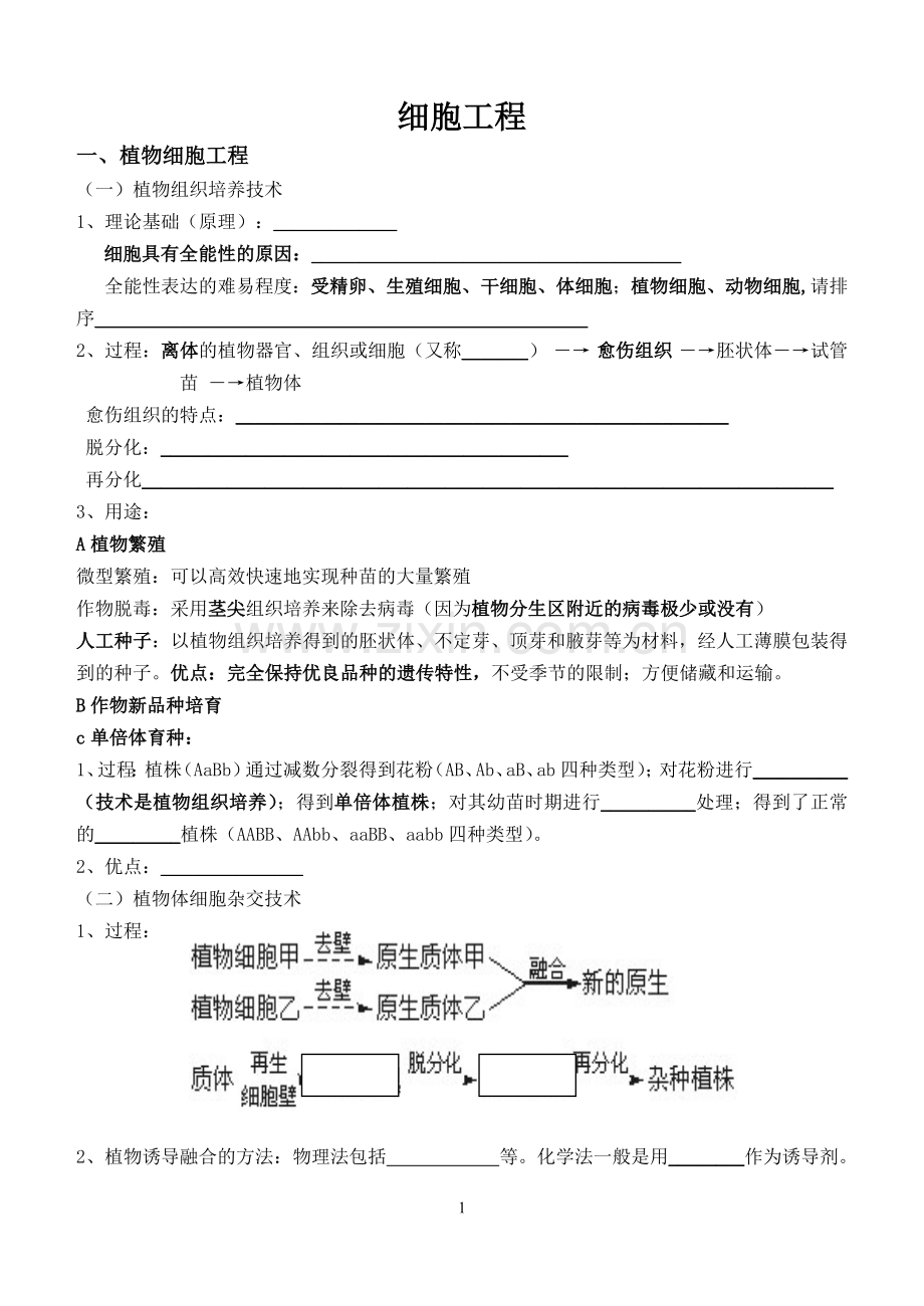 细胞工程(知识点填空).doc_第1页