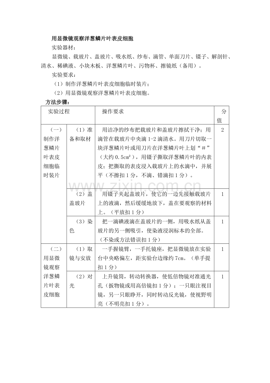 用显微镜观察洋葱鳞片叶表皮细胞.doc_第1页