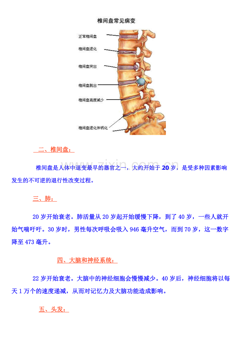 人体20个重要器官衰老时间表.doc_第2页