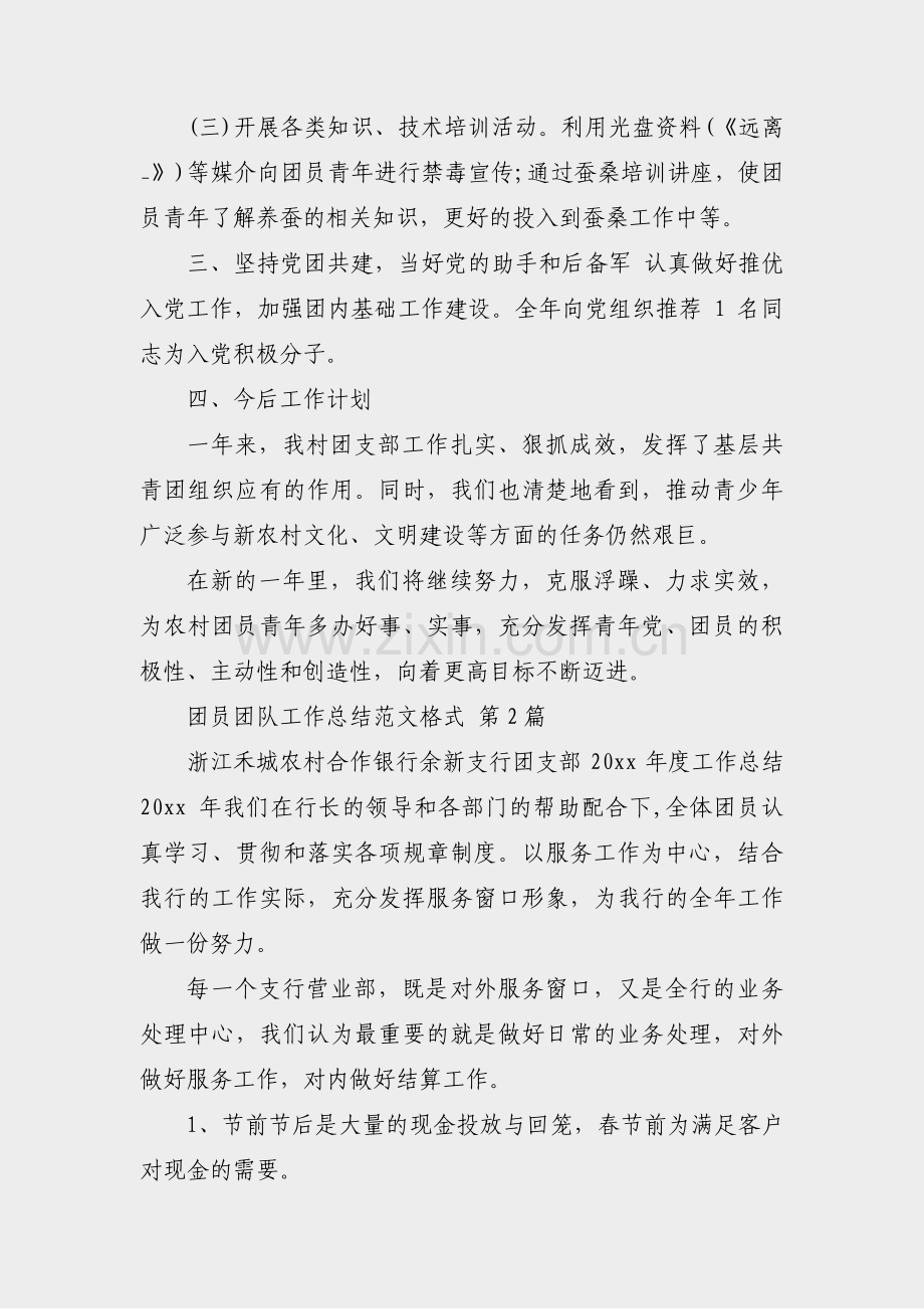 团员团队工作总结范文格式(29篇).pdf_第2页